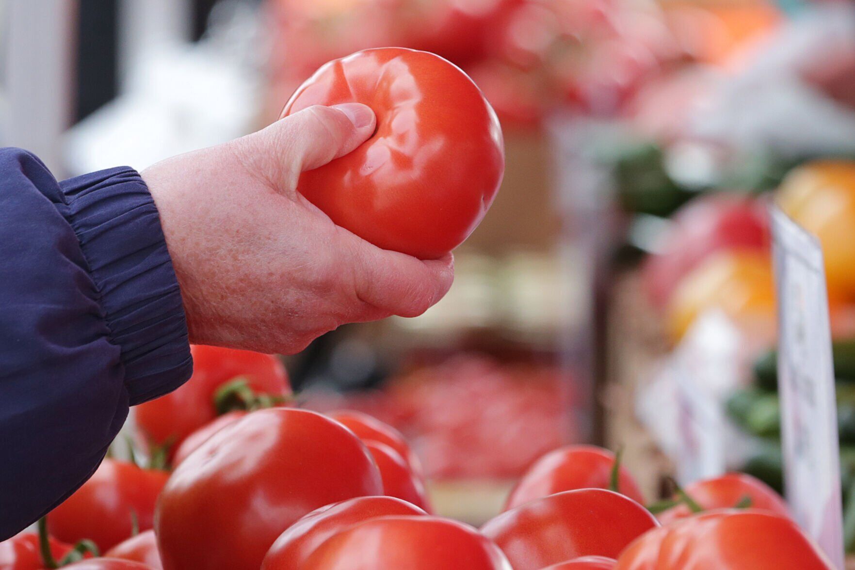 041622farmersmarketkw06-04162022123251